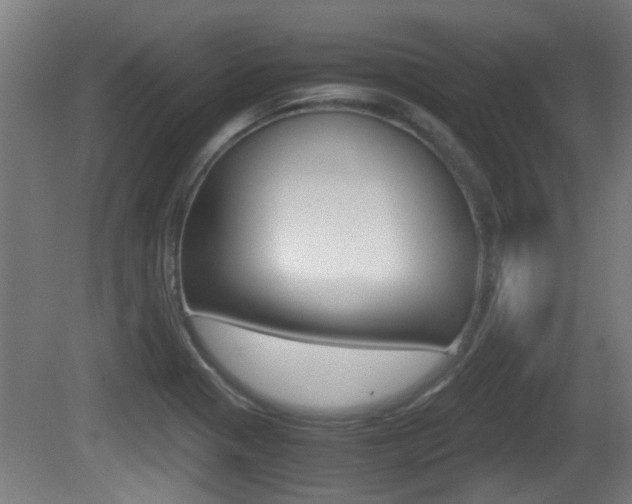 X0000081271321200701110857