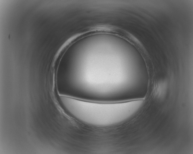 X0000081271323200701110857