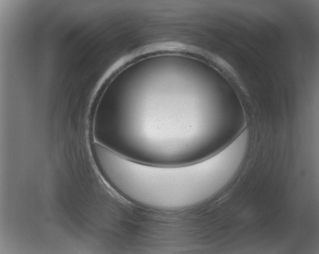 X0000081271326200701110857