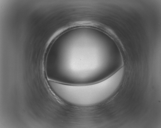 X0000081271328200701110857