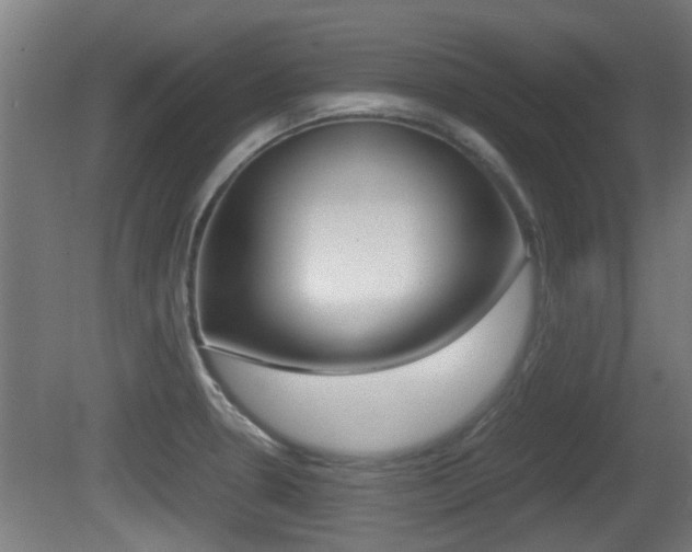X0000081271330200701110857