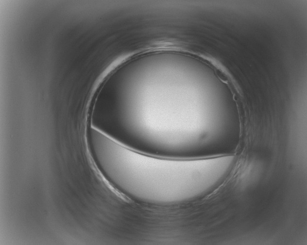 X0000081271333200701110858