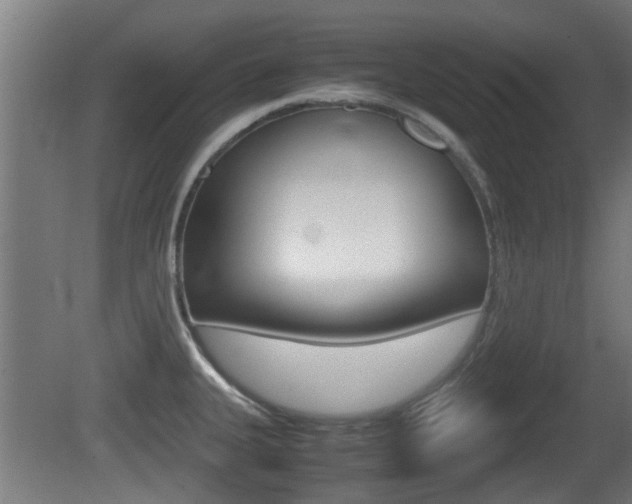 X0000081271335200701110858