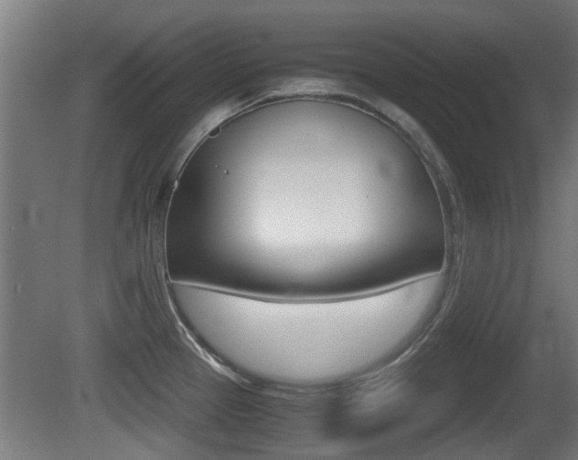 X0000081271337200701110858