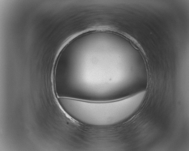X0000081271343200701110858
