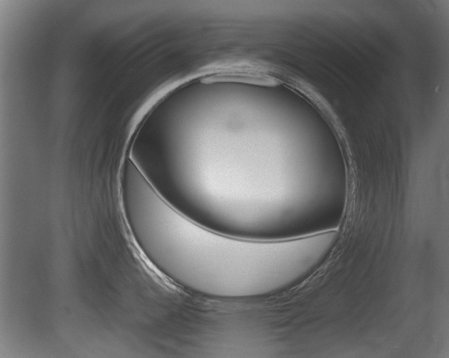 X0000081271344200701110858