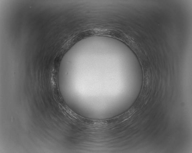 X0000081271346200701110857