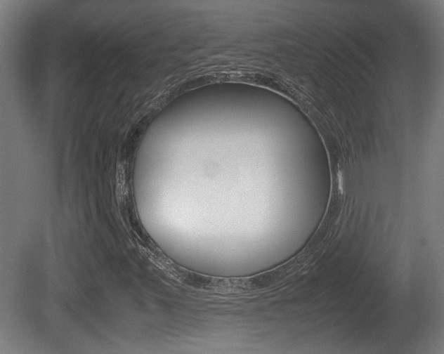 X0000081271347200701110857