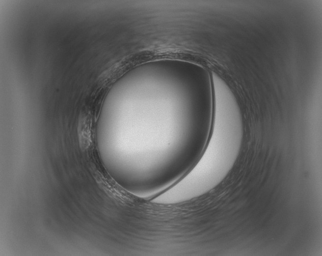 X0000081271348200701110857