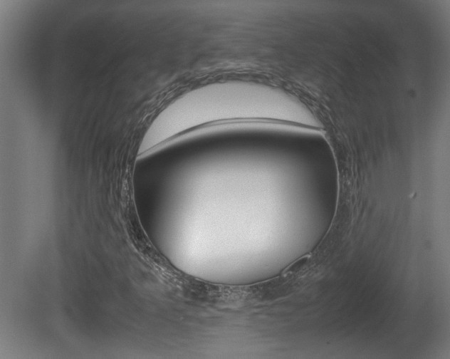X0000081271349200701110857