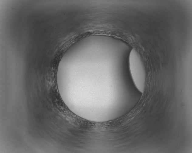 X0000081271350200701110857