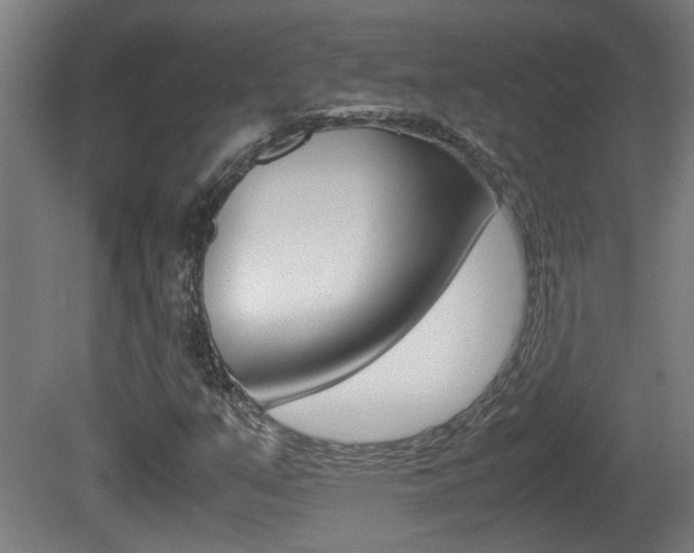 X0000081271351200701110857