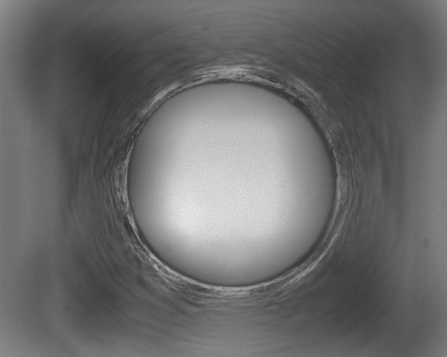 X0000081271353200701110857