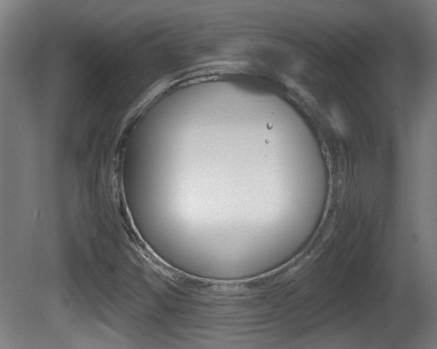 X0000081271354200701110857