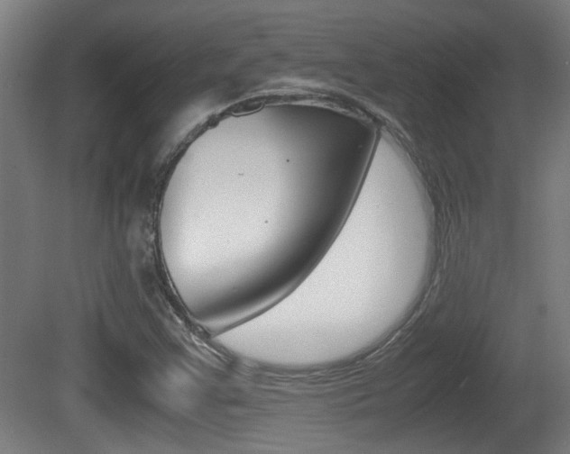 X0000081271355200701110857