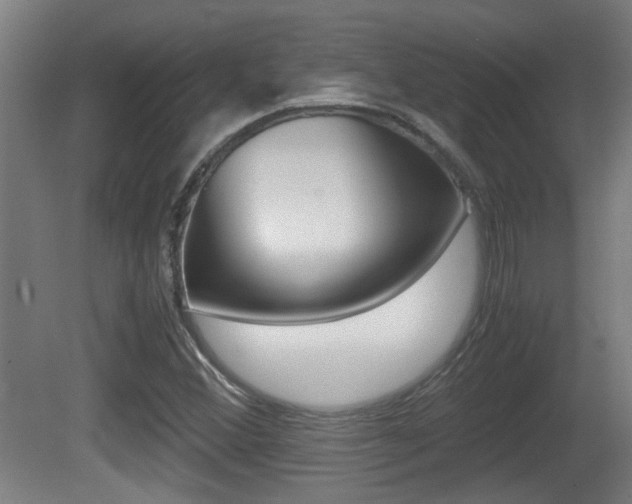 X0000081271356200701110857