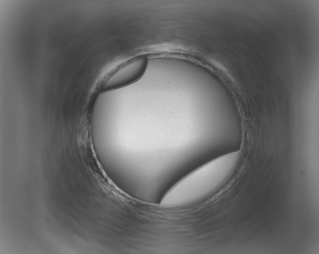 X0000081271358200701110857