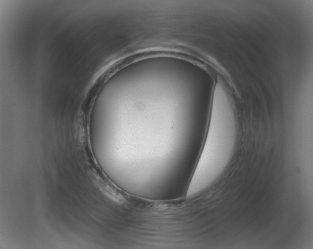 X0000081271360200701110857