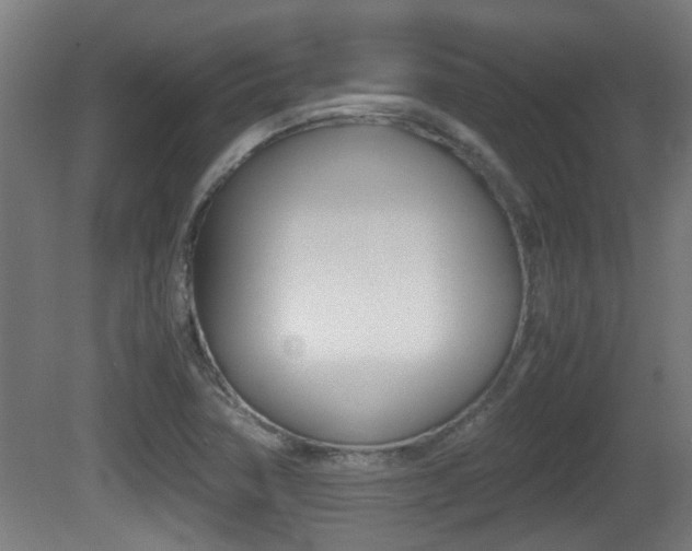 X0000081271362200701110857