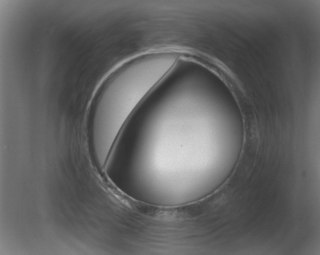 X0000081271364200701110857