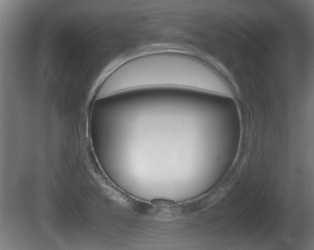 X0000081271365200701110857