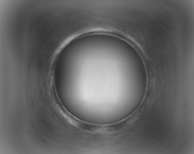 X0000081271367200701110857