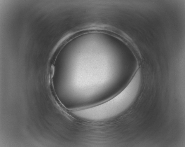 X0000081271368200701110856