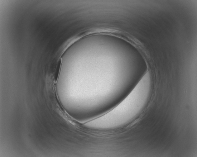 X0000081271369200701110856