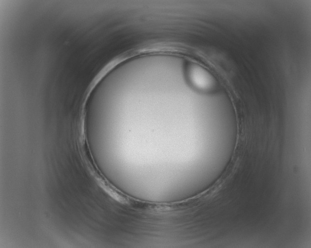 X0000081271370200701110856