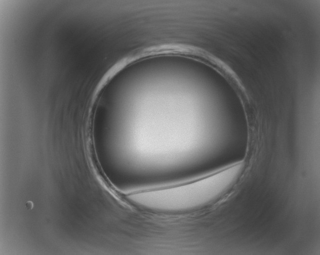 X0000081271373200701110856