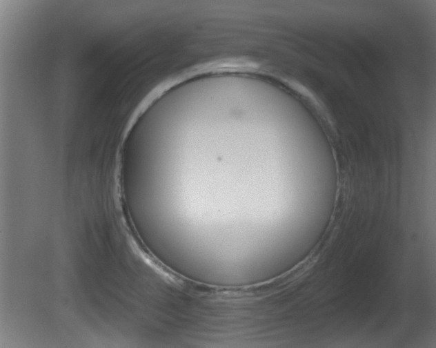 X0000081271374200701110856