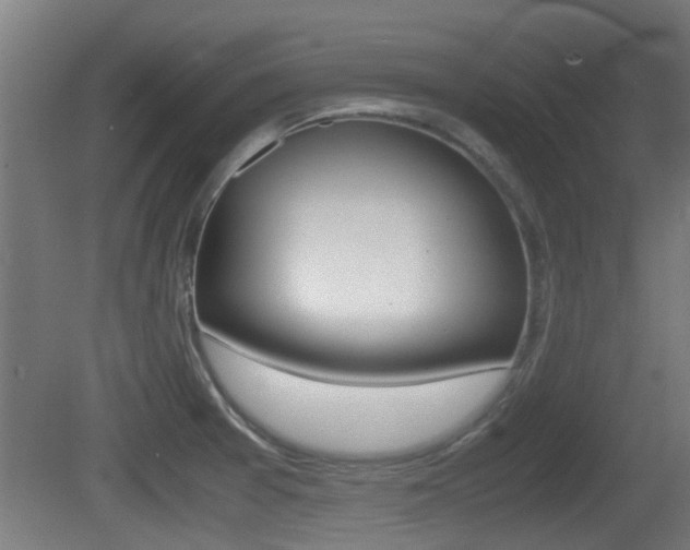 X0000081271377200701110856