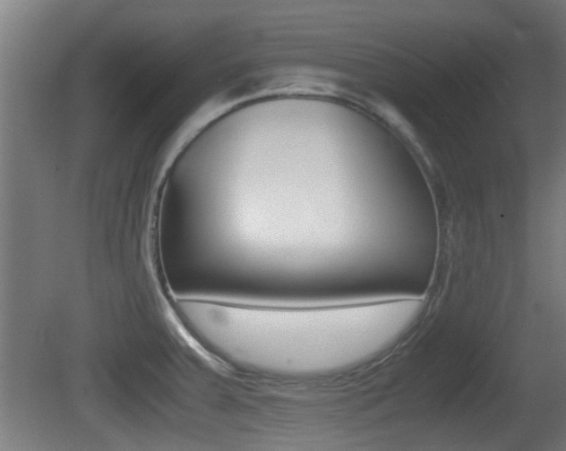 X0000081271379200701110856