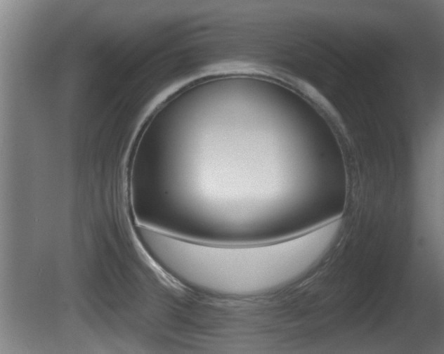 X0000081271380200701110856