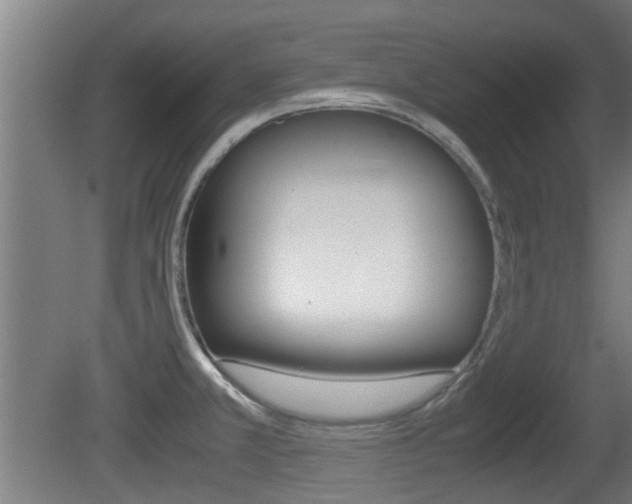 X0000081271381200701110856