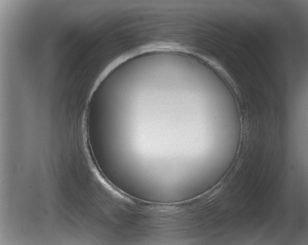 X0000081271382200701110856