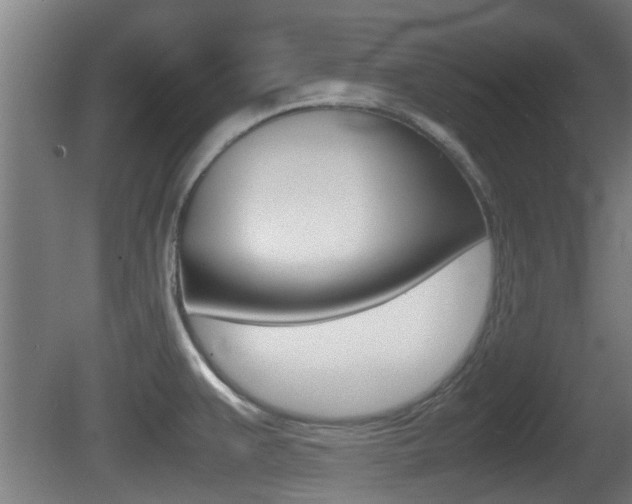 X0000081271383200701110856