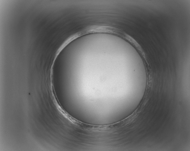 X0000081271386200701110856