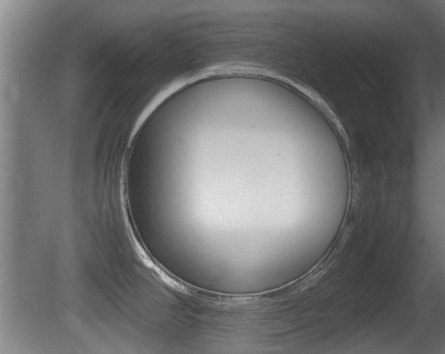 X0000081271390200701110856