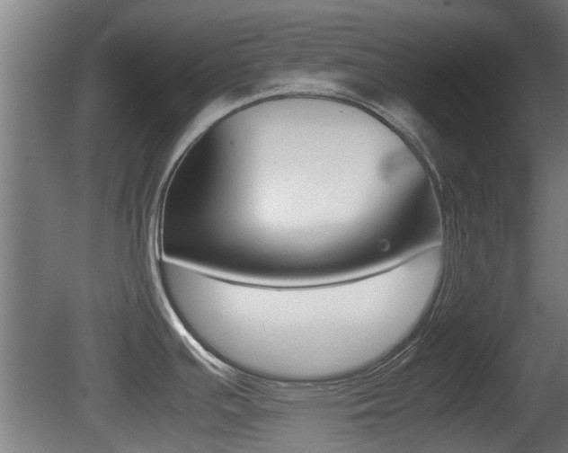 X0000081271391200701110856