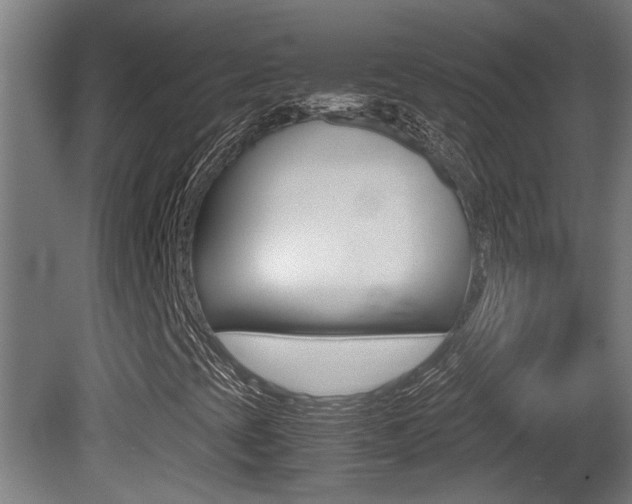 X0000081271393200701110855