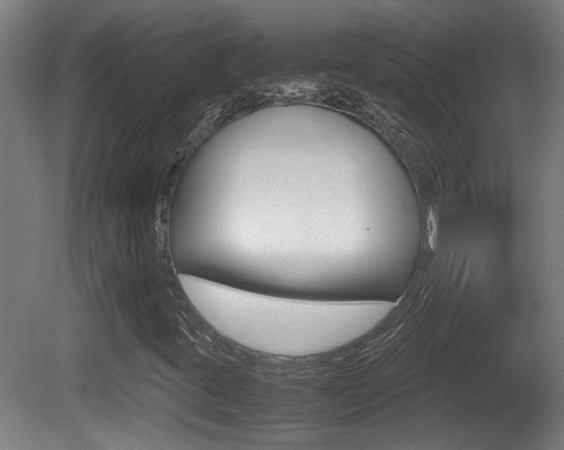 X0000081271395200701110855