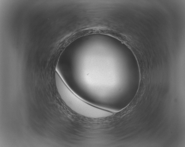 X0000081271398200701110855