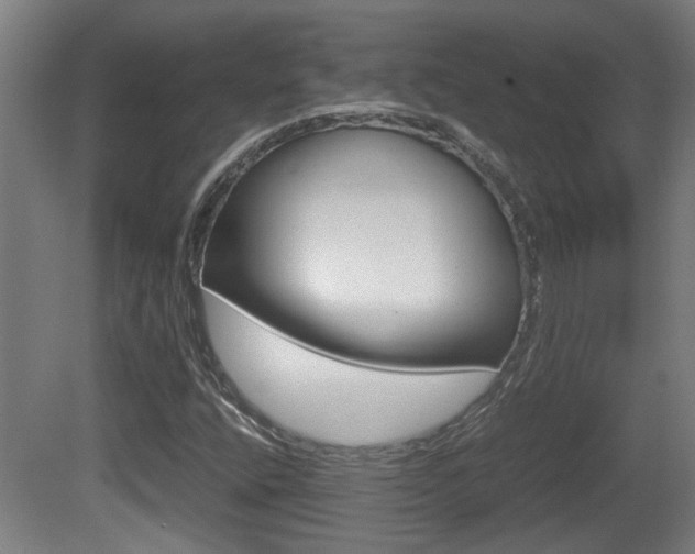 X0000081271400200701110855