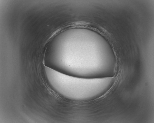 X0000081271401200701110855