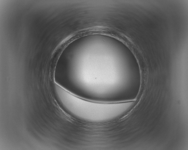 X0000081271402200701110855