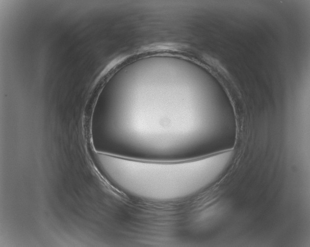 X0000081271404200701110855