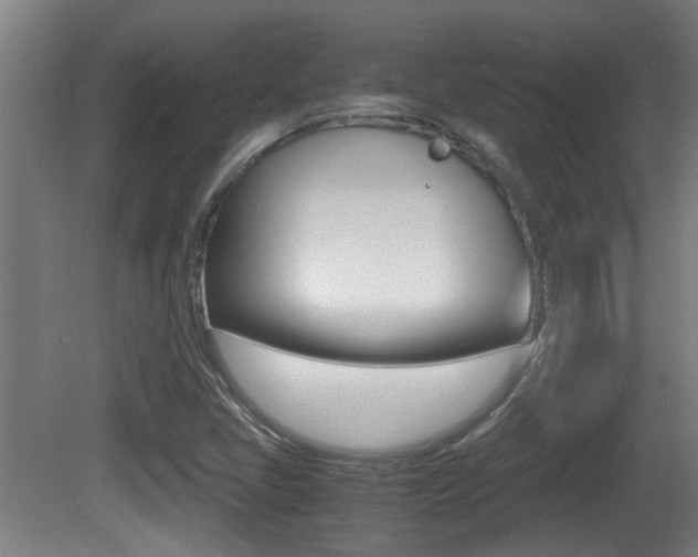 X0000081271405200701110855