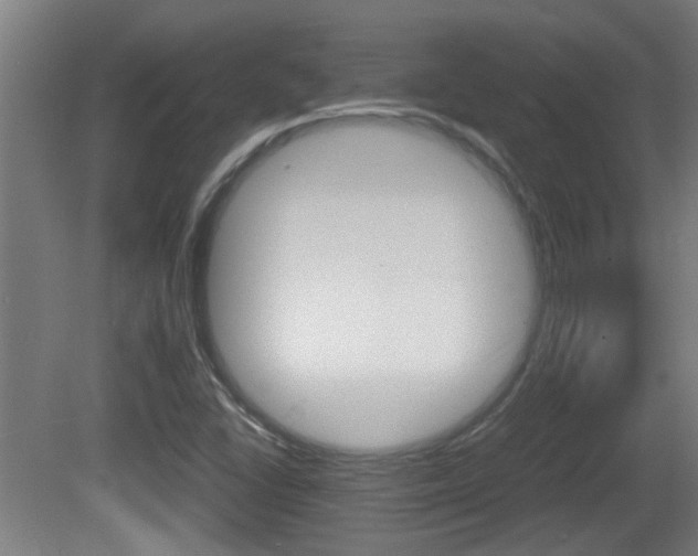 X0000081271406200701110855