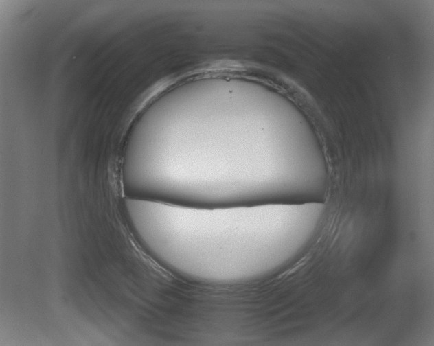 X0000081271409200701110856
